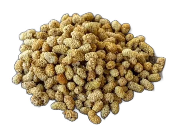 White Mulberry — Dried Fruit