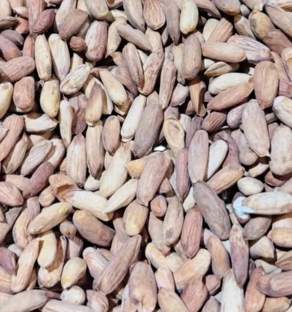 Almond A+ — Nut