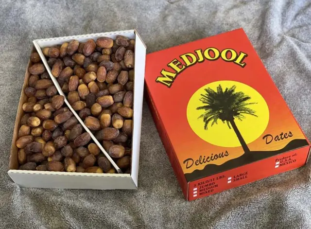 Algerian Noor / Medjool Dates — Dates