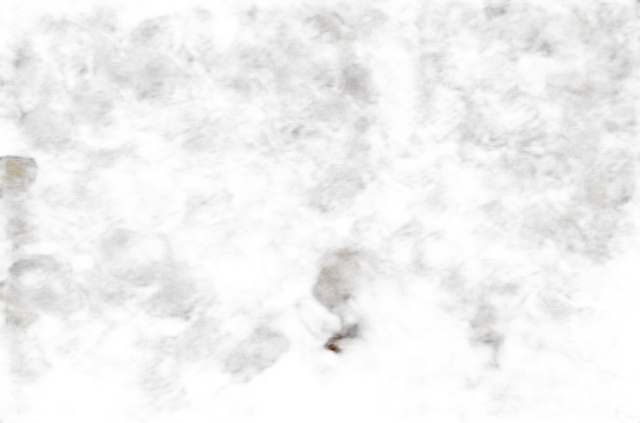 Alo Bukhara — Dried Plum